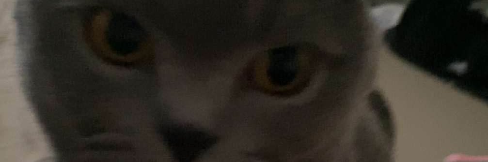 BlurFNFNFN's profile banner image