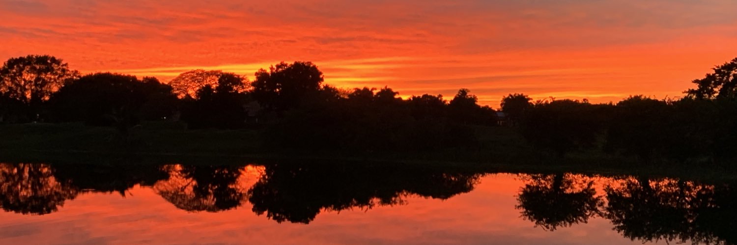 Paul P. Robinson banner