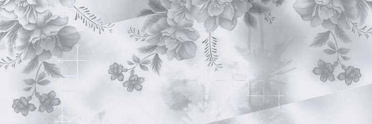 IdeSeNaPOLE's profile banner image