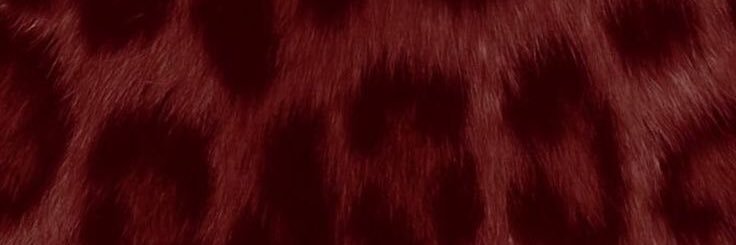 lulu ✧.* banner