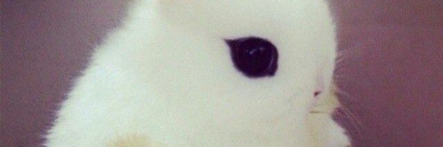 moussetache207's profile banner image