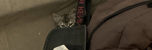 eoalimemo Profile Banner