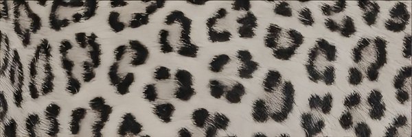 sertralinakk Profile Banner