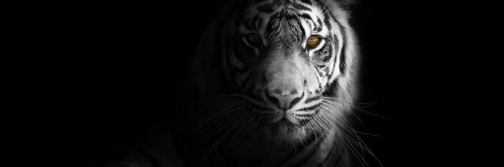 viudo de Rahim banner