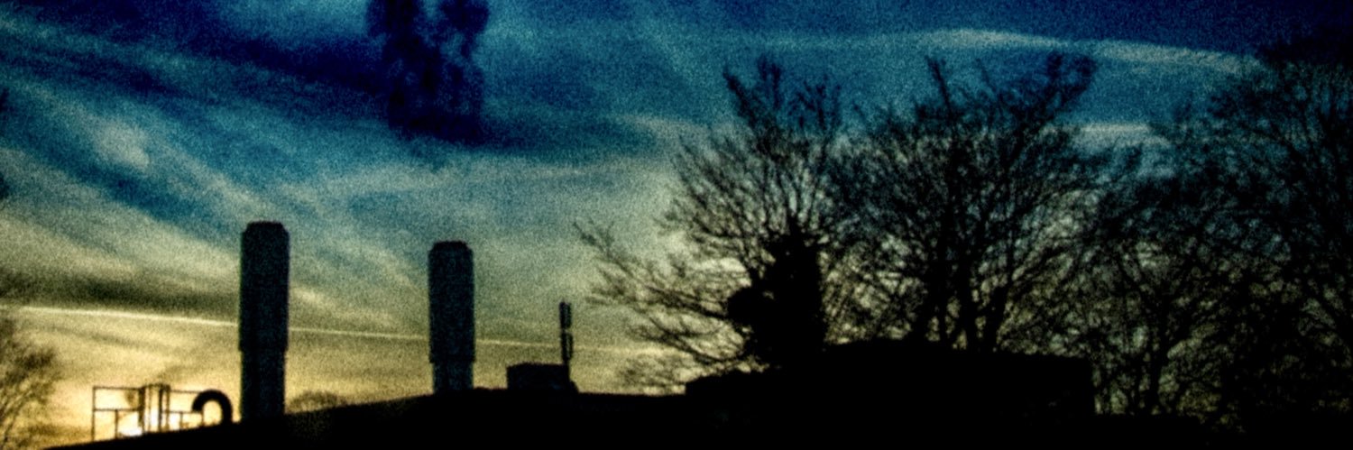pascal_bernheim's profile banner image