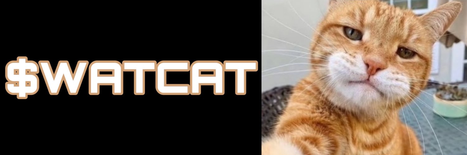 watcatsol's profile banner image