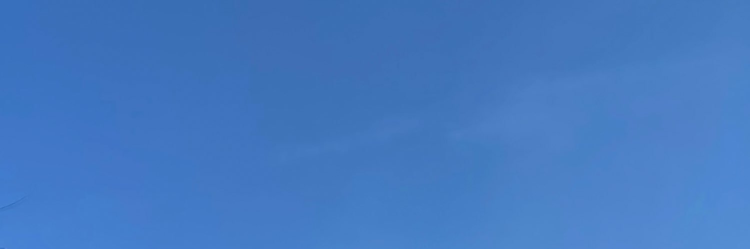 srva ꕤ banner