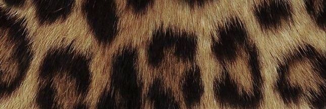 iamNotAnaa's profile banner image
