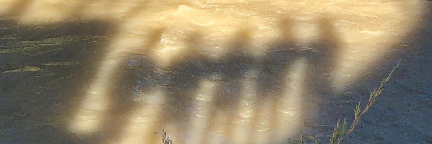 ajori_arshia's profile banner image