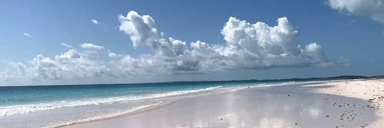DivineUmbrella's profile banner image
