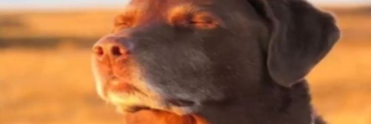 understown's profile banner image