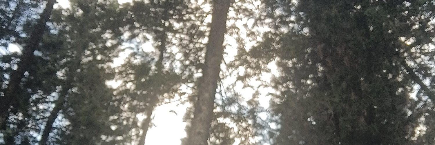 nji1696875's profile banner image