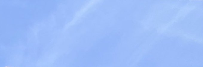 の 🪼 banner