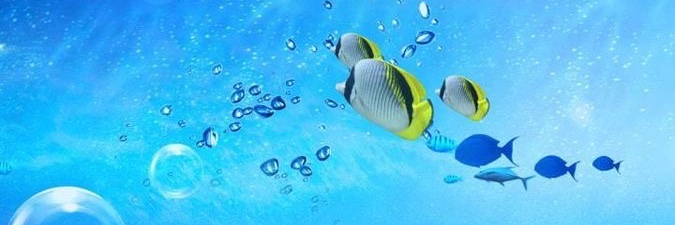 mizo_wetfloor banner