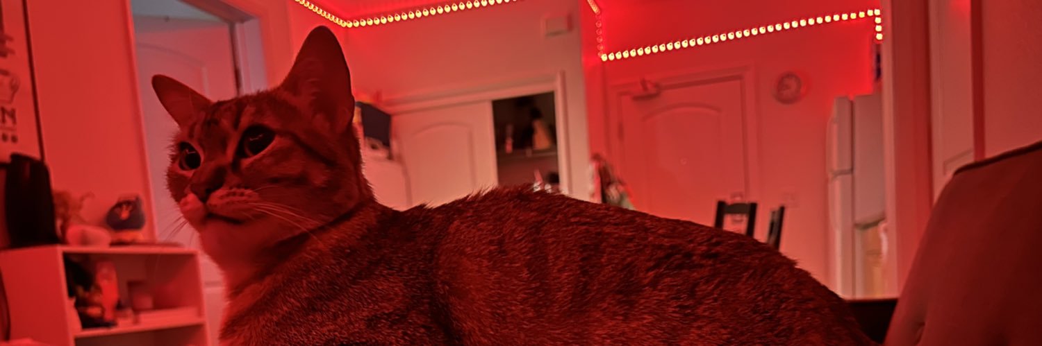 PicsofPedro's profile banner image
