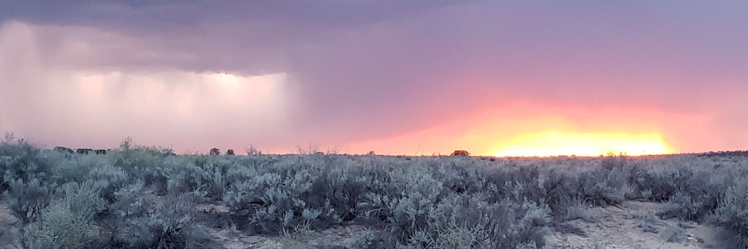 🇺🇸🤘🏼 Chris 🤘🏼🇺🇸 banner