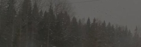 Milkk's banner