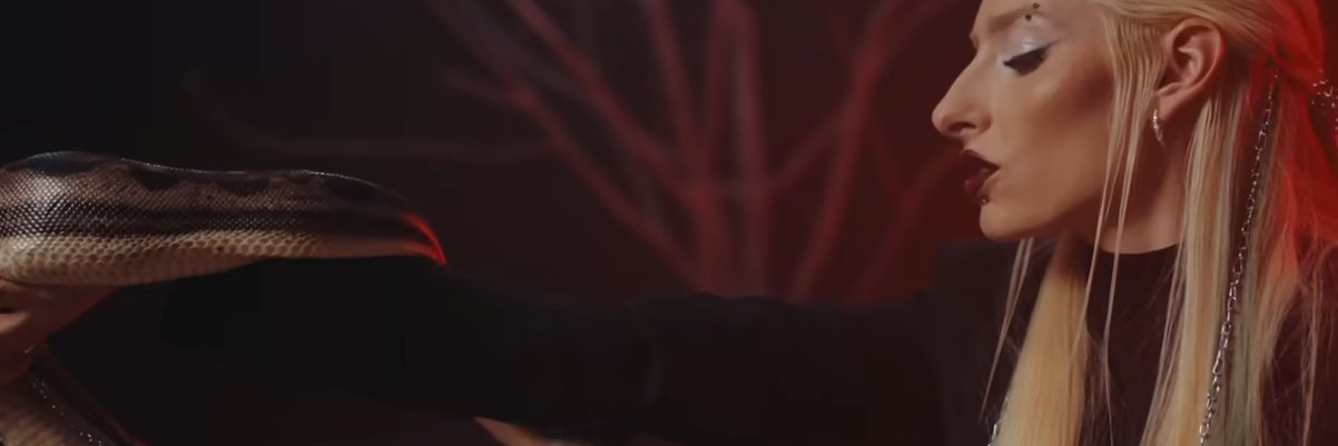 Tutelesc's profile banner image