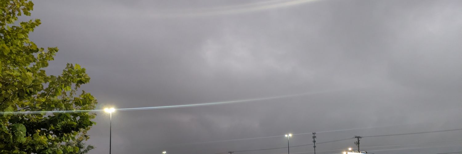 DiamondTerra33 banner