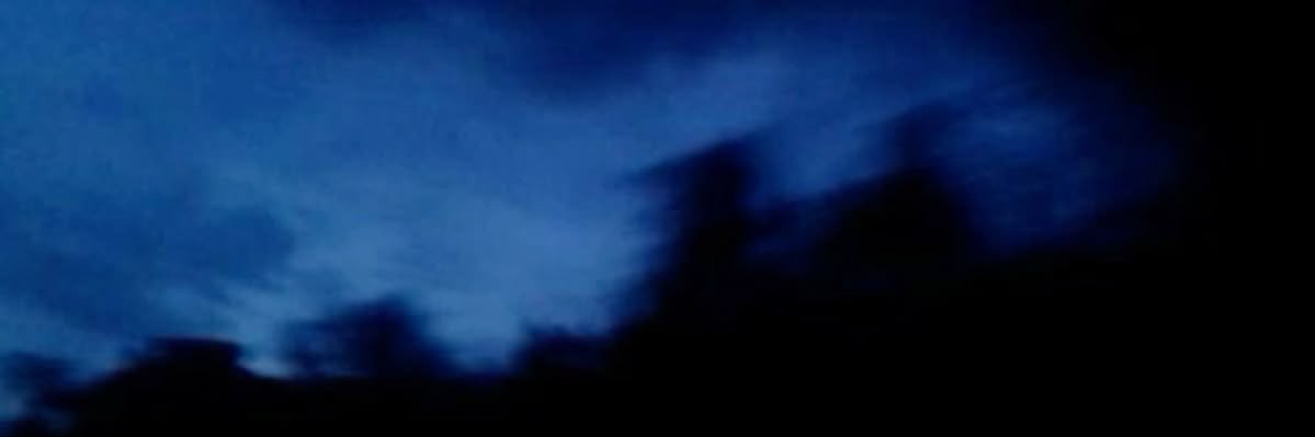 swagsterdani's profile banner image