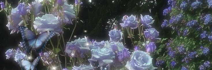 WARANDRAGE's profile banner image