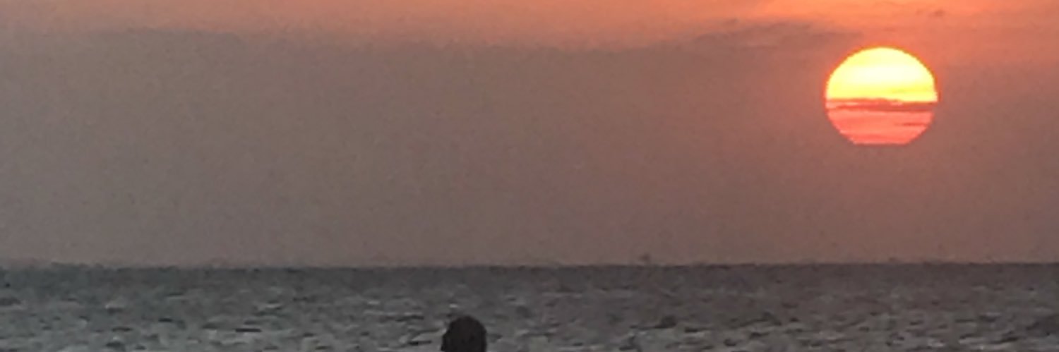 SimpleYSencilIo's profile banner image