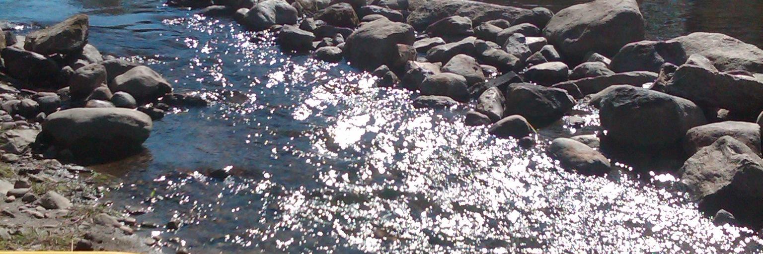 ErichDitschman banner