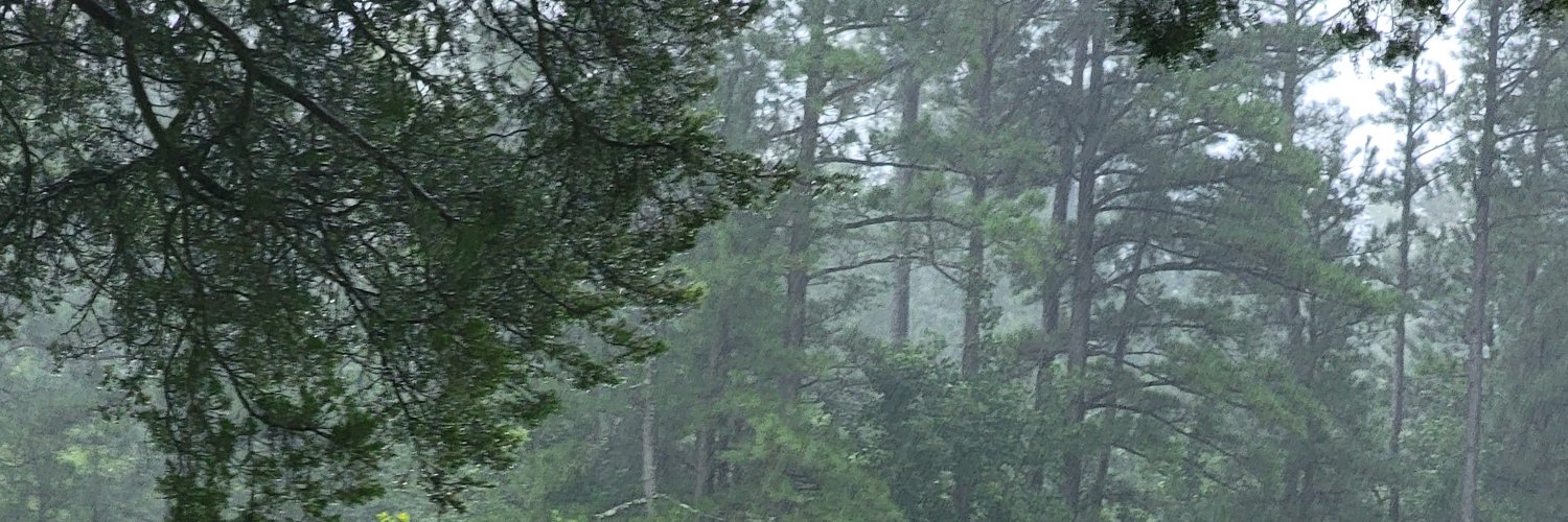 melfaun's profile banner image