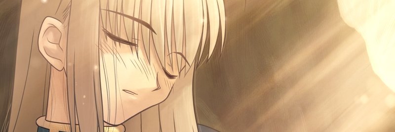 krapina number two banner