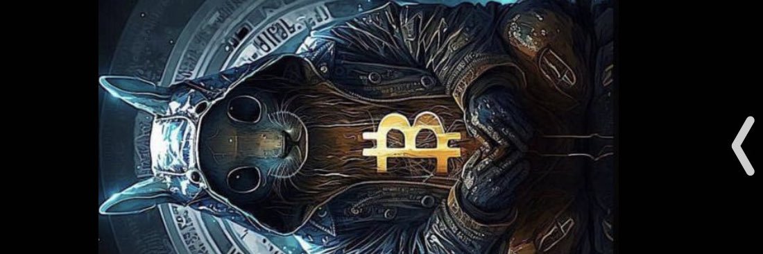 cryptowoodxliquidty 💦📊🪵 banner