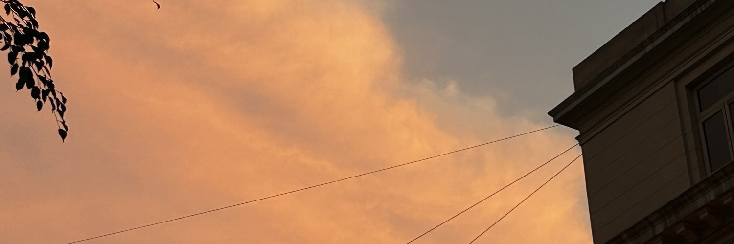 karmaliooon's profile banner image