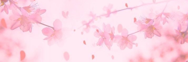 _Novaaaa__'s profile banner image