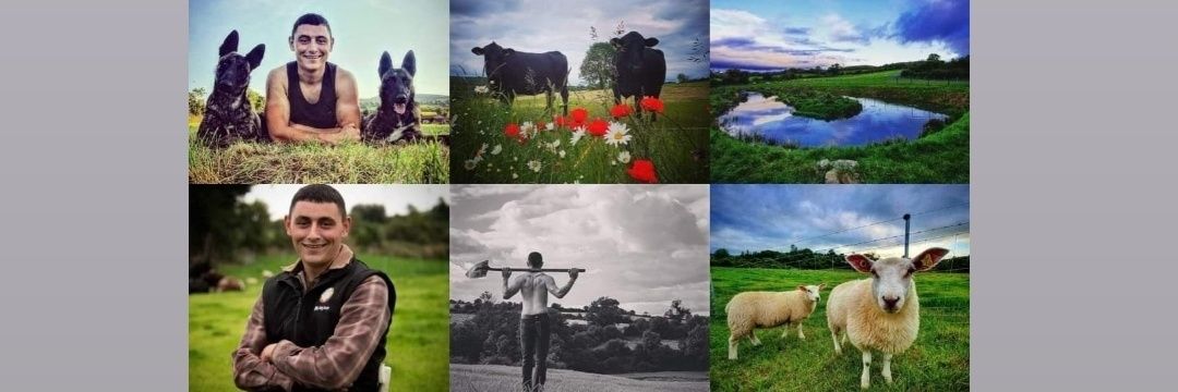 the_long_acre's profile banner image