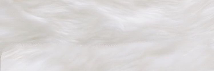 noeln1010's profile banner image
