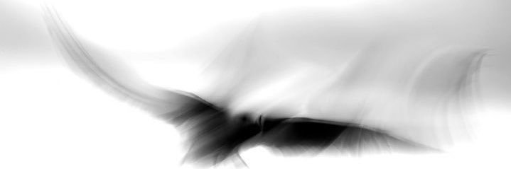 nromanoffn's profile banner image