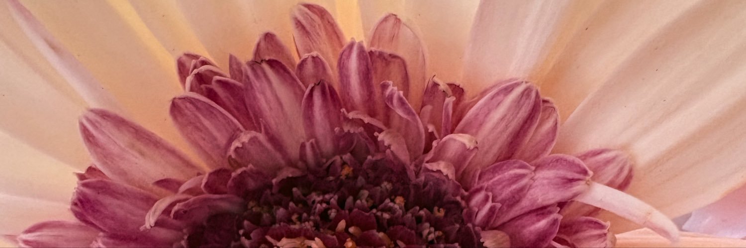 MissElyssia's profile banner image