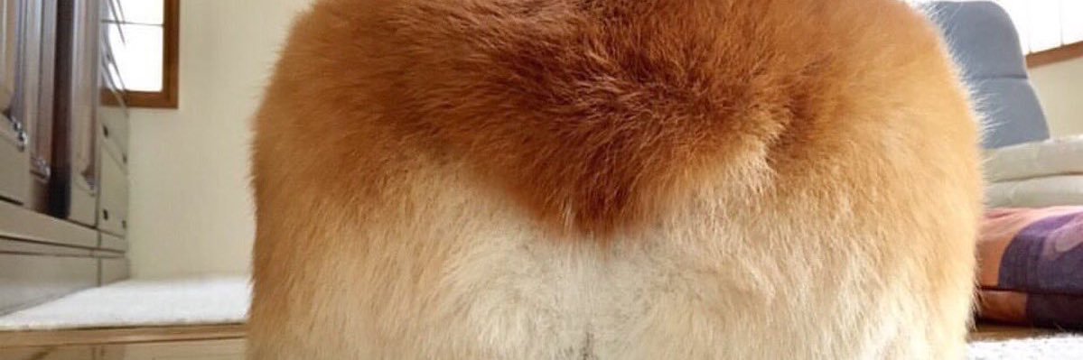UDDELI315's profile banner image