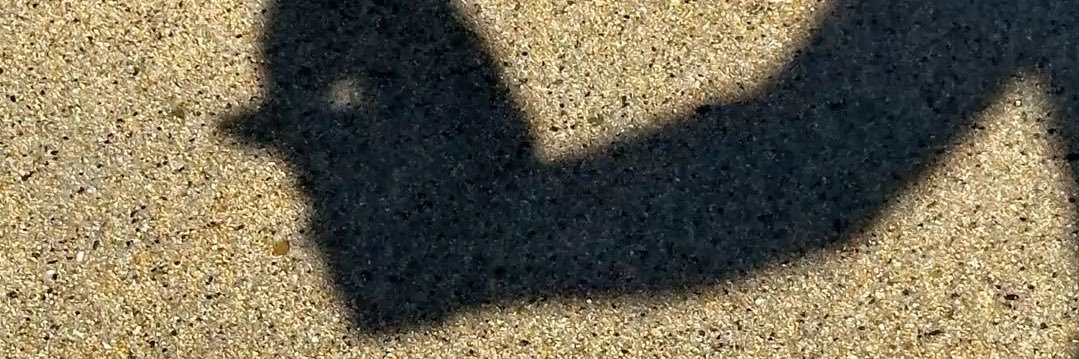 ursadex_'s profile banner image