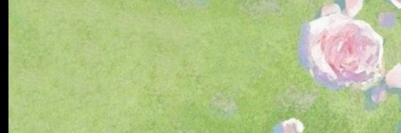 Zaain banner