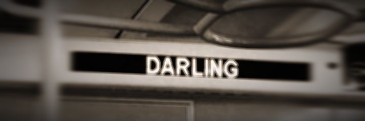 Aleyna🖤 banner