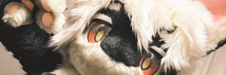 largocant's profile banner image