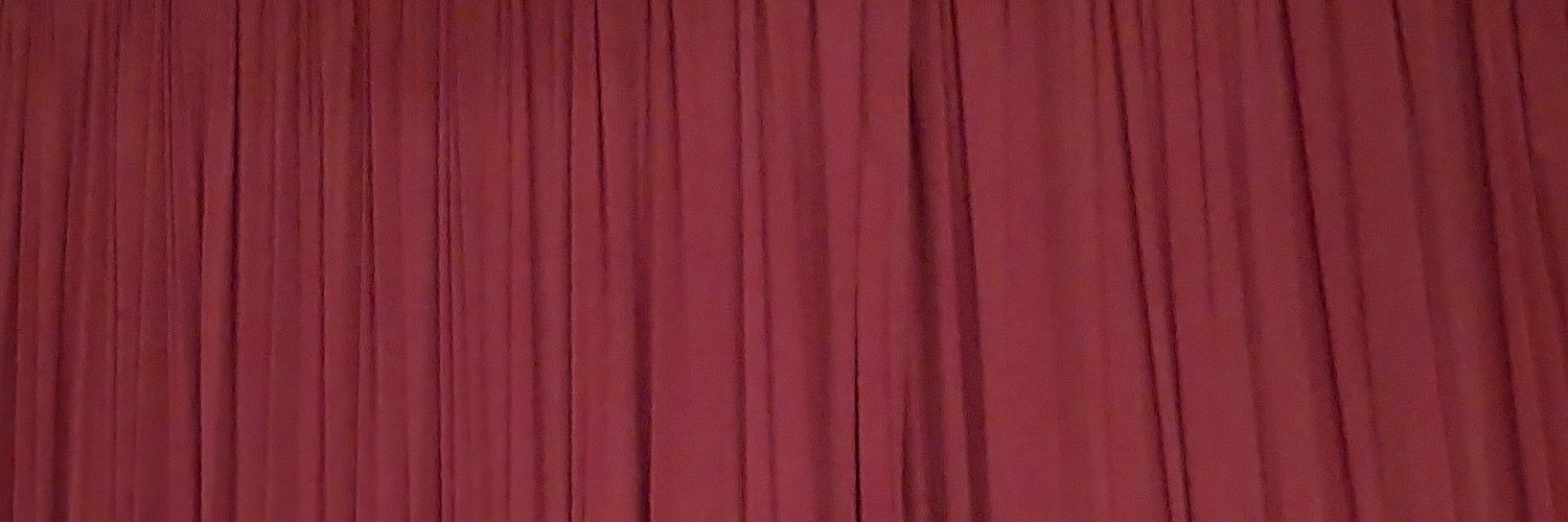 Natalia Streinu banner
