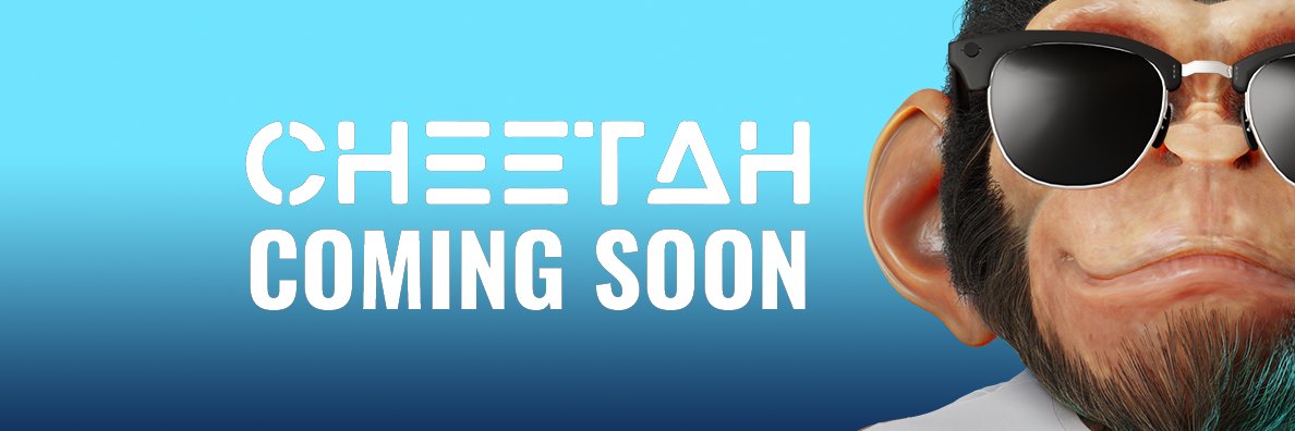 Cheetah Pictures banner
