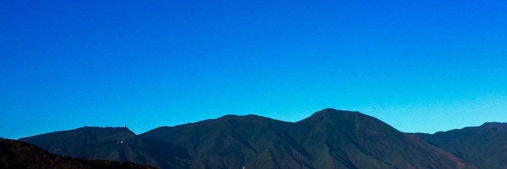 carolaccs's profile banner image