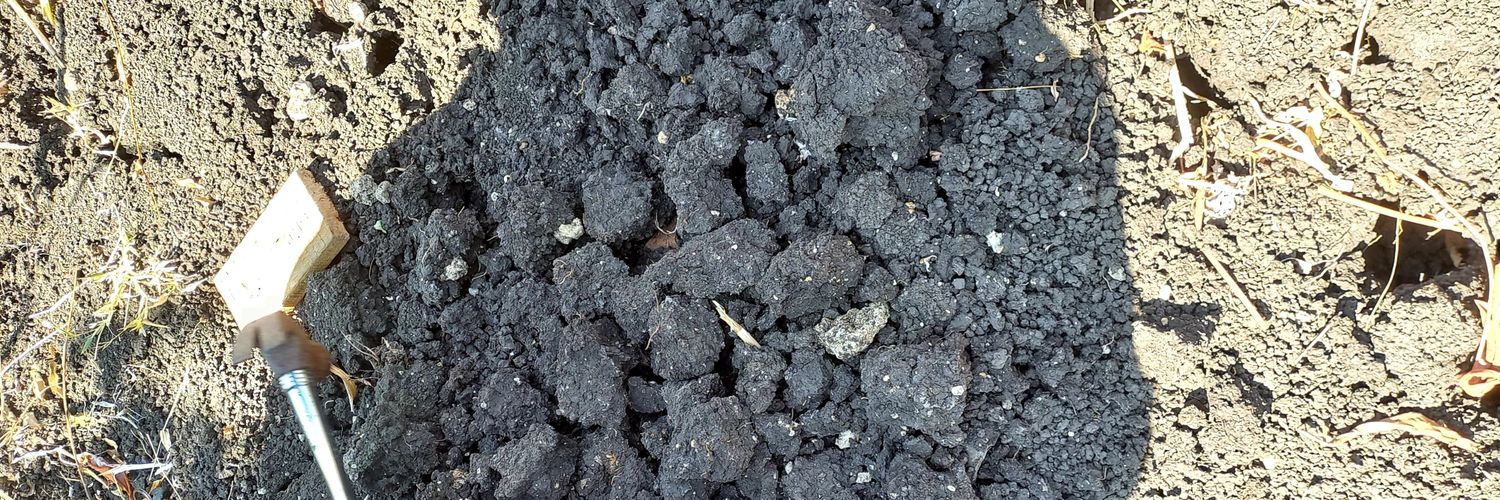 Dibetterin.aja banner