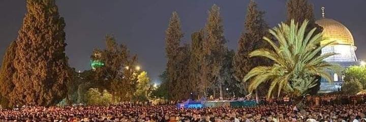 الغزّاوي الجلَّاد's banner