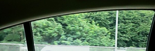 Tokkipulleaf Profile Banner