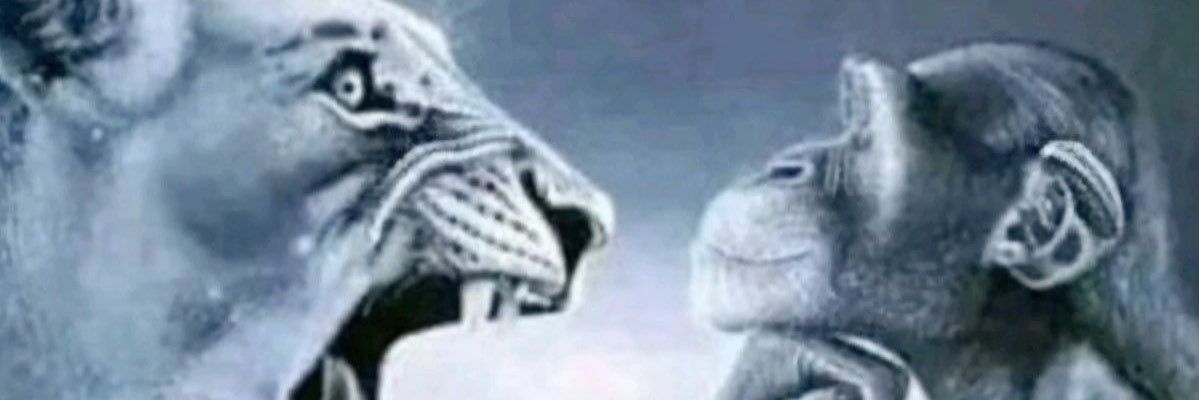 batinfinity_'s profile banner image