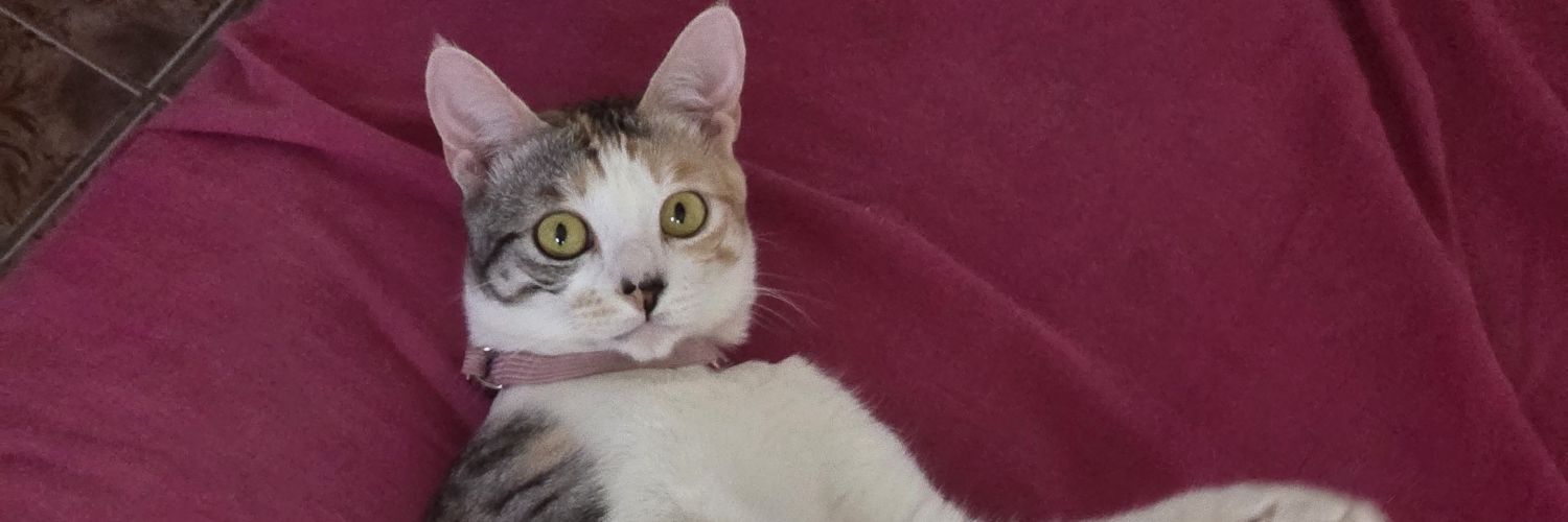 germaanok 🪐(Taylor's version) banner