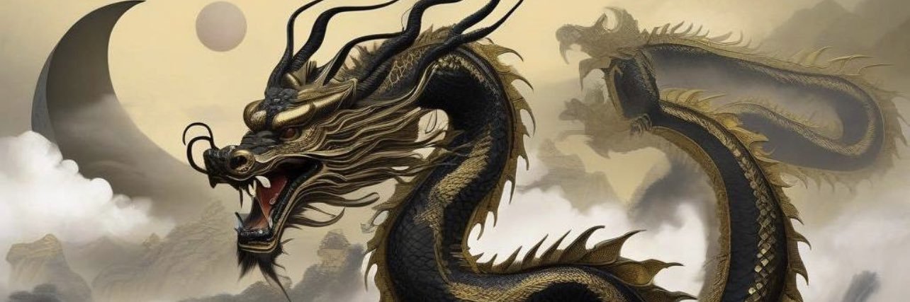 Mushu Solana banner